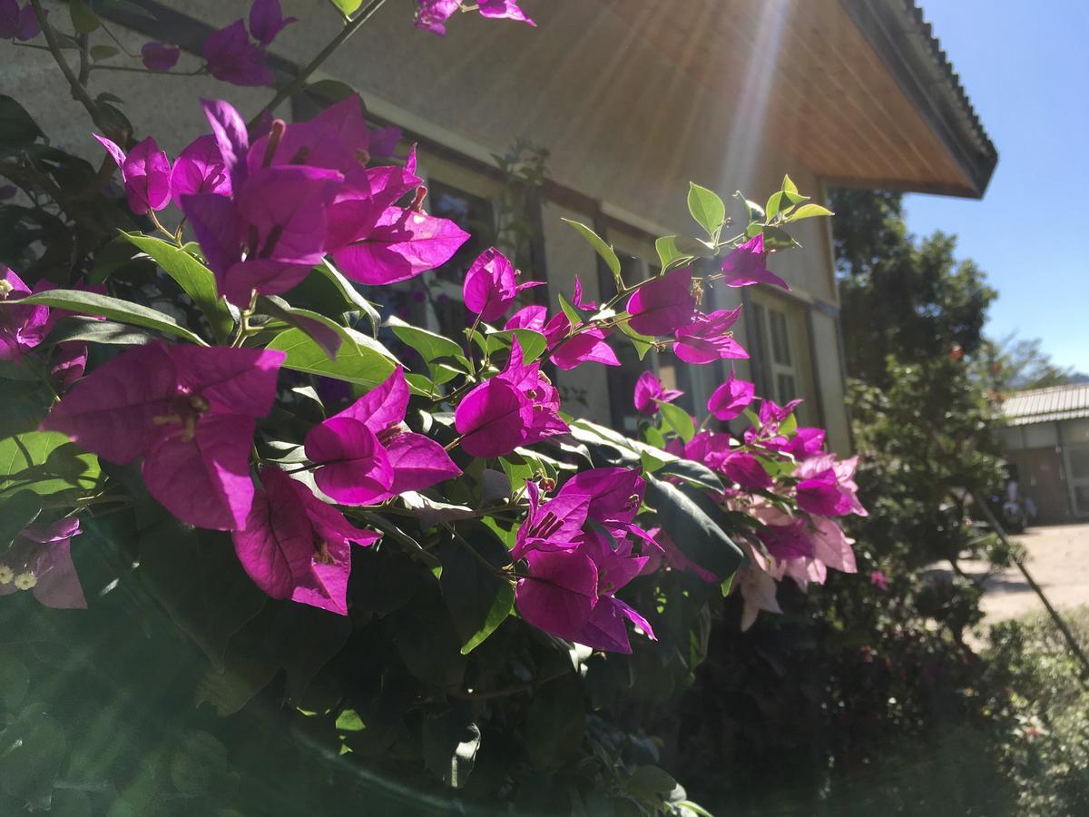 Champs Yazuh B&B Jiji Eksteriør bilde